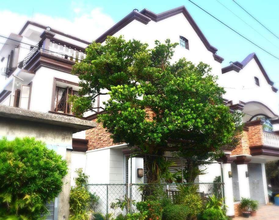 باسكو Florabells Iraya Guest House - Batanes المظهر الخارجي الصورة