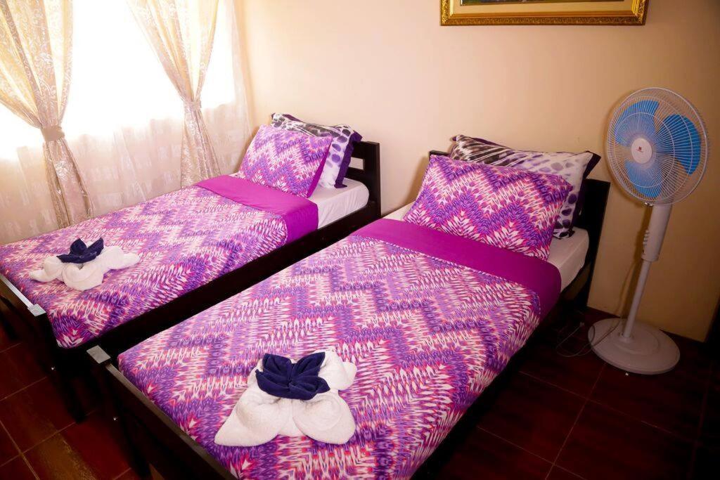 باسكو Florabells Iraya Guest House - Batanes المظهر الخارجي الصورة